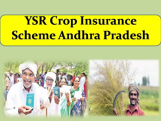 YSR Crop Insurance Scheme